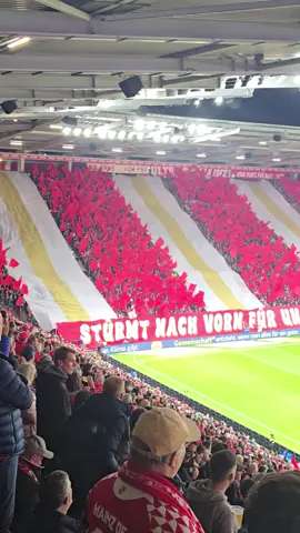 #main #05 #fsv #Mainzer #mainz05 #Gladbach #vfl #borussia #vflborussia #Mönchengladbach #bundesliga #fussball #football #Fans #Stadium #stadion #sport #sports #groundhopping #groundhopper #passion #Soccer #matchday 