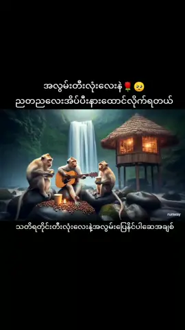 #မျောက်  #တီးလုံးလေးကြိုက်လို့😁  #ရောက်စမ်းfypပေါ်😒myanmartiktok 