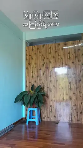 #မြူးမြူးကြွကြွအကြည်ရဲ့အက#fyp #fypပေါ်ရောက်စမ်း #အကြည် #tiktokindia #tiktokမြန်မာ🇲🇲🇲🇲2024🙏🙏🙏🤝🔥🔥🔥🔥💥 