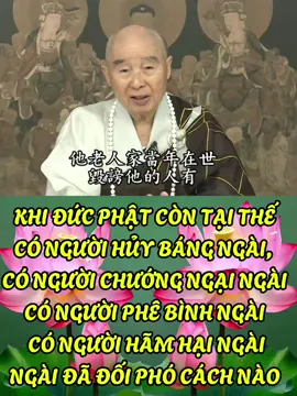 KHI ĐỨC PHẬT CÒN TẠI THẾ CÓ NGƯỜI HỦY BÁNG NGÀI, CÓ NGƯỜI CHƯỚNG NGẠI NGÀI, CÓ NGƯỜI PHÊ BÌNH NGÀICÓ NGƯỜI HÃM HẠI  NGÀI