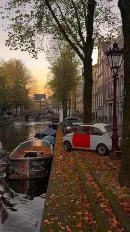 Amsterdam 🍂🍁🧸🐿️☕️ #autumn #fyp #tiktoktravel #amsterdam #amsterdamcity 