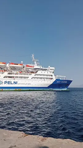 Sabtu,26 Oktober 2024||Km Bukit Siguntang berangkat dari pelabuhan L.Say Maumere dengan tujuan Lewoleba,Kupang. #maumeretiktok🌴 #fypシ゚viral🔥🔥🔥maumeregacor🔥 #nttpride🏝🔥 #JelajahLiburan #maumere #fyyyypppppppppppppp #pelnimaumere #padahariini #kmbukitsiguntang🛳🛳 