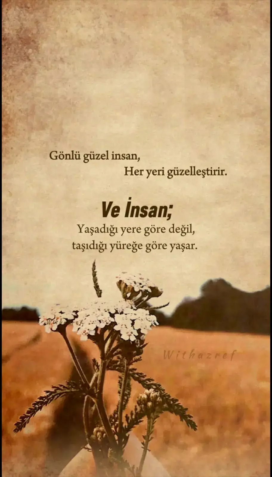 Gönlü güzel, Üslubu zarif.. Duâsı makbul insanlara denk gelesiniz.... 🌼🦋 #amin . . . . . . . . . . . . . . . . #amin #yenigünedua #yenigünebismillah #güzelsözler #anlamlısözler #sözlerköşkü #söz #sözmühendisi #dinisözler #duavakti #duasaati #dualisozler #kalbedualar #dinivideolar #kesfetteyim #kesfett #beniöneçıkart #trending #fyp #hayırlısabahlar #tiktok #tiktokviral 