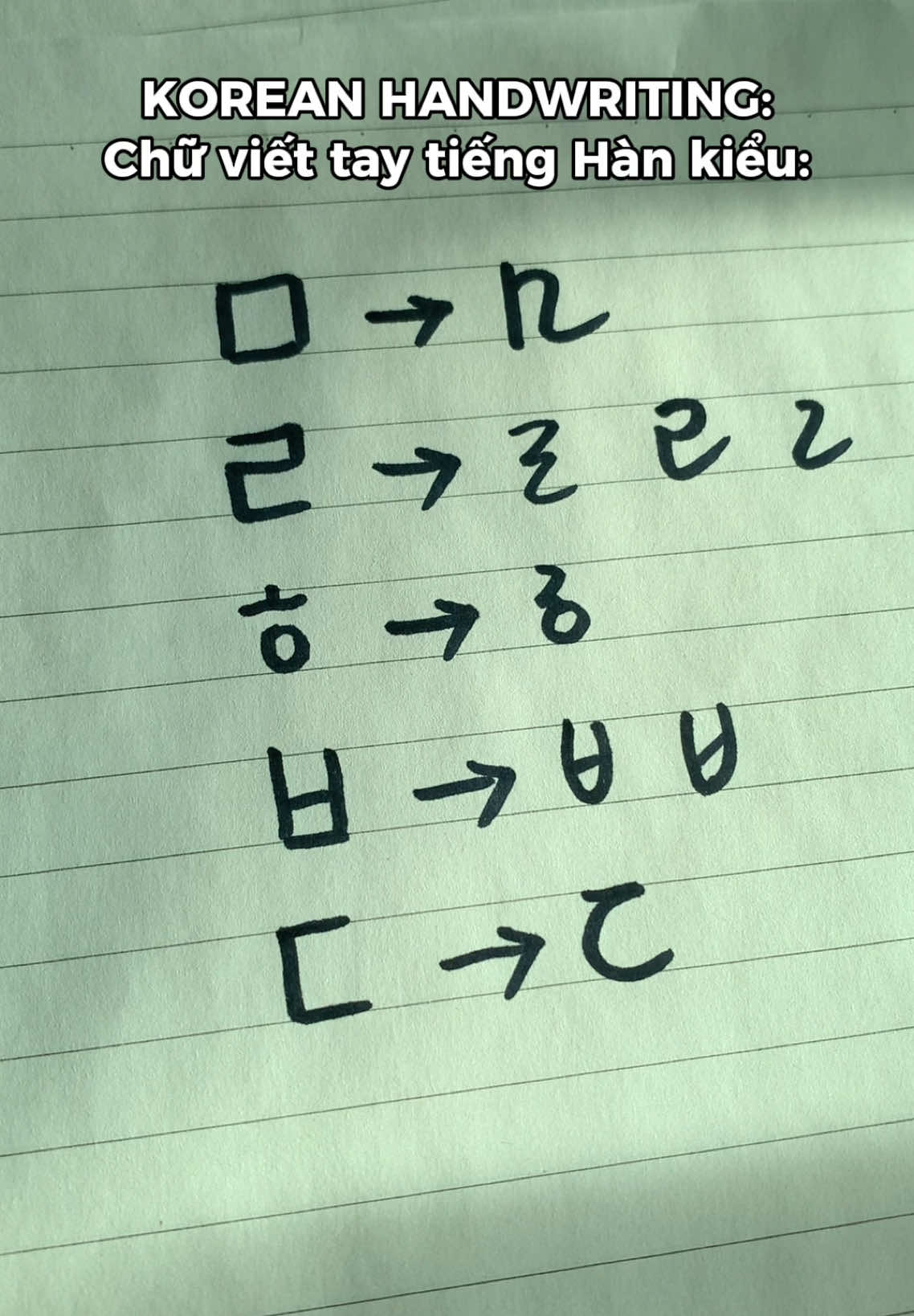 Làm quen cho khỏi bỡ ngỡ nhé các cậu😌 #saohoctienghan #hoctienghanquoc #hoctienghan #chuviettaytienghan #koreanhandwriting #tuhoctienghan 