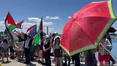Palestine and climate activists gathered at Jubilee Park in Gadigal/Wangal Country in Sydney for a practice run kayaking and waving Palestine flags ahead of the Palestine flotilla at the people’s blockade of the world’s largest coal port in Muloobinba/Newcastle in November. Activists chanted “From the river to the sea, Palestine will be free” and “Stop arming Israel” as they paddled in the harbour.  The gathering also served as a birthday celebration for Palestine, housing and LGBTIQ rights activist Rachel Evans.  Find out more about the upcoming blockade by visiting risingtide.org.au  Video: Peter Boyle  #freepalestine #risingtide #peoplesblockade2024 #handsofflebanon #ceasefirenow #greenleft 