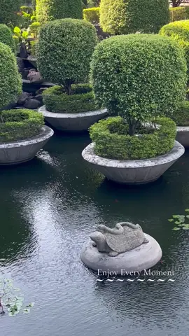 Enjoy Every Moment #nature #beauty #life #travel #musica 