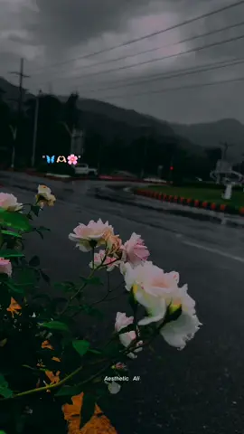 |𝙍𝙀𝙋𝙊𝙎𝙏 🔂 𝙍𝙀𝙌𝙐𝙀𝙎𝙏|🤌🏻 ❤️‍🩹 #foryou #foryoupage #vira #trending #aesthetic #fyp  #dontunderreviewmyvideo #fypシ #viral #foryou #foryourpage #lyricsvideo #standwithkashmir #burhan_tv #watsappstatus #foryourpage #triendingsong 