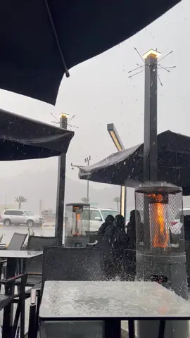 الصداقة أرض زُرعت بالمحبة وسقيت بماء المودة 🤍 #امطار_حايل #8oz 