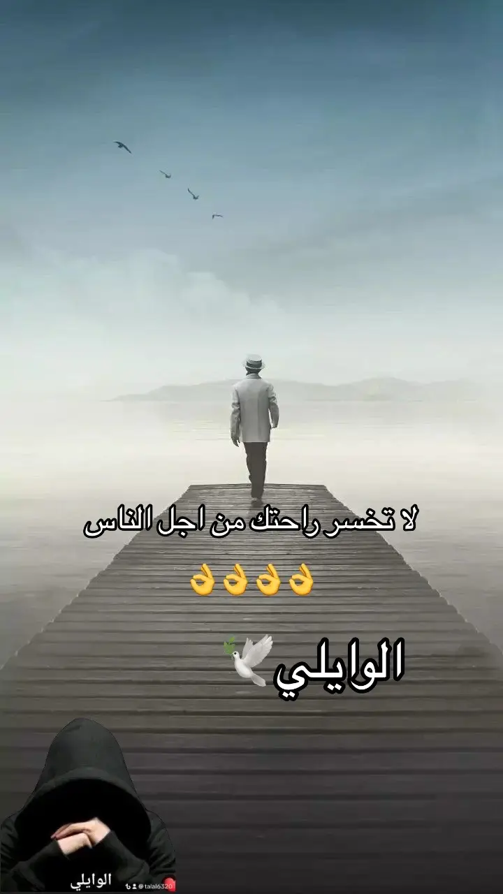 #🕊️🕊️🕊️🕊️🕊️🕊️🕊️🕊️🕊️🕊️🕊️🕊️ 