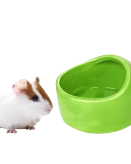 🔥 Ceramic Pet Feeding Bowl Hamster Chinchilla Rabbit Food Feeding Bowl Anti-turning For Small Animals Hamster Pet Feeding Supplies 🔥 You wo...