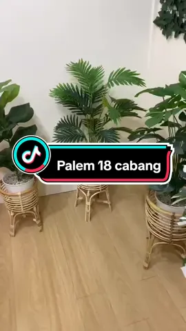 pohon palem ini cocok buat didalam rumah harganya 80.000an aja sudah satu set g potnya ya bun #tanaman #tanamanhias #homedekor #runahcantik #rumahestetik