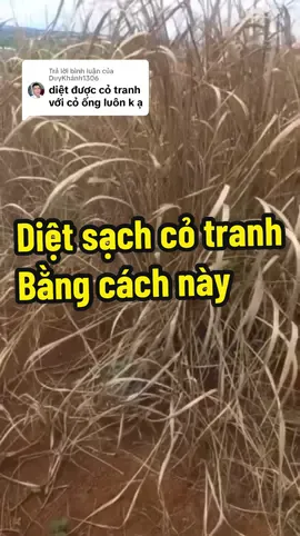 Trả lời @DuyKhánh1306  Diệt sạch cỏ tranh anh nhé. Diệt cỏ sinh học Thiên Lôi