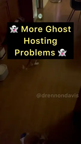 #catdad #drennondavis #funnycats #ghosts #spooky #talkingcats