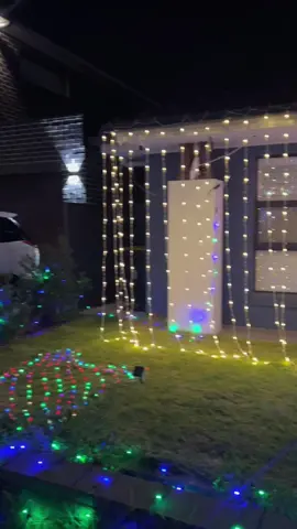 Divali lights #sydney #divali 