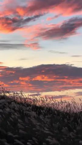 Trả mây về trời . Trả gió về đâu 🙃#binhlieu #gio #muadong