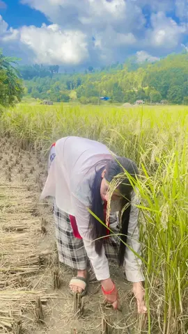 Lu maile ta suru gari hai #hetaudamuser 