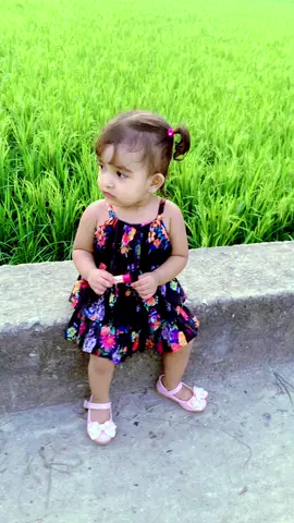 অনেকেই প্রশ্ন করে থাকে রাফাকে আমি ফর্মুলা দিছি কিনা?এখনো ব্রেস্ট ফিডিং করছে নাকি? নাহ মাশাল্লাহ রাফাকে ফর্মুলা দিতে হয়নি,ছয় মাস পর্যন্ত আমি ওরে বুকের দুধই দিছি।ছয় মাস পর থেকে সলিড ফুডে ছিল প্রতিদিন সকালে একটা ডিম্ সিদ্ধ,আরেক বেলা সেরেলাক রাতে স্যুপ নুডলস।মাঝে মাঝে গরম ভাতও ম্যাস করে দিতাম।কোনো পিওরি করে দেইনি আর কোনো খাবার ব্লেন্ড করেও দিইনি।যার কারণে এখন আমার খাবার নিয়ে এত প্যারা নিতে হয়নি মাশাআল্লাহ সব কিছুই খেতে পারে। দুই বছর যেহেতু হয়নি তাই এখনো সে ব্রেস্ট ফিডিং করছে।দুই বছর পর চেষ্টা করবো ছাড়ানোর।@TikTok @For You @TikTok Bangladesh @For You House ⍟ 