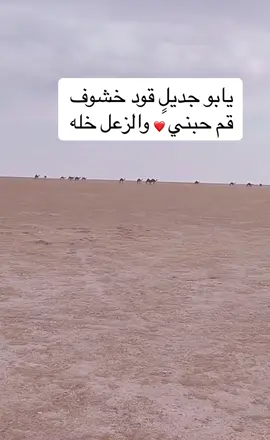 خلاص القول #محمد_الصالح_🇸🇦 #محمد_محمد🤍🕊🌺🌸 #كسبلور #كسبلوررر #كسبلوررررررررر #محاورات_قديمة #ناقتي🤍🌸 