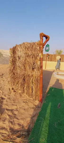ABU DHABi AGRiCULTURAL Tools شغل خشبیی ترکیب عريش مجلس سعف النخل و ترکیب شبق زور حشیش صناعی البلوشیی call whatsapp 🇦🇪🌴0543362936 we build bamboo and palm leaves and every wooden house Home staging service#reels #shorts #foryou محمد عثمان البلوشیی ترکیب حضیرہ#abudhabi #alain #dubai #sharjha 