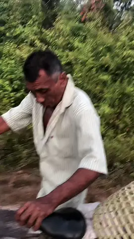 Sera que prenderam o Fantasma ff ?