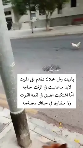 #شعراء_وذواقين_الشعر_الشعبي #شيلات_حزينهه💔 #شيلات_روعه_خواطر_ذوق #شيلات #قصيده_شعر_بوح_كلام_من_ذهب👌👌✅✅ #بوح_شعر #شعراء_وذواقين_الشعر_الشعبي🎸 #fyp #fypage #اكسبلور_explore #اكسبلور؟ #اكس #اكسبلور 