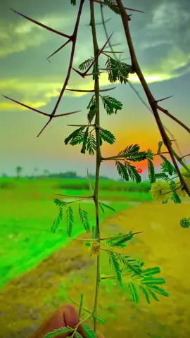 میرا سوہنا پنڈ جنڈوالہ#foryou #fypシ #fypシ #fypシ #fypシ #fypシ #fypシ #fypシ #fypシ゚viral #fypシ #fypシ #fypシ #fypシ #fypシ #tiktokdontunderreviewmyvideo #fypシ #fypシ #fypシ #fypシ #fypシ #fypシ #unfreezemyacount #fypシ #foryou #fypシ 
