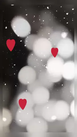 #تراثيات_طلالية  #صوت_الأرض  #شوفوا_الحب✨🌹💖🌹✨