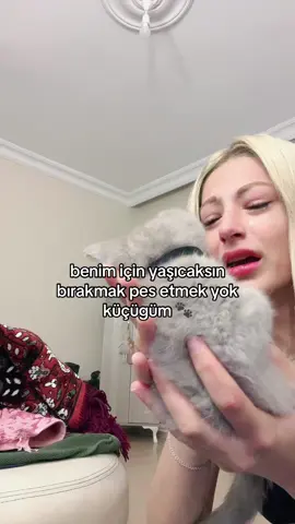 ❗️saçma sapan yorumlarınıza ihtiyacım yok yaşaması için elimden geleni yapacağım ama ölümcül bir hastalığı var o yüzden anı kalsın diye paylaşıyorum kötü yorum yapan herkesi engelleyeceğim hiçbiriniz umrumda değilsiniz