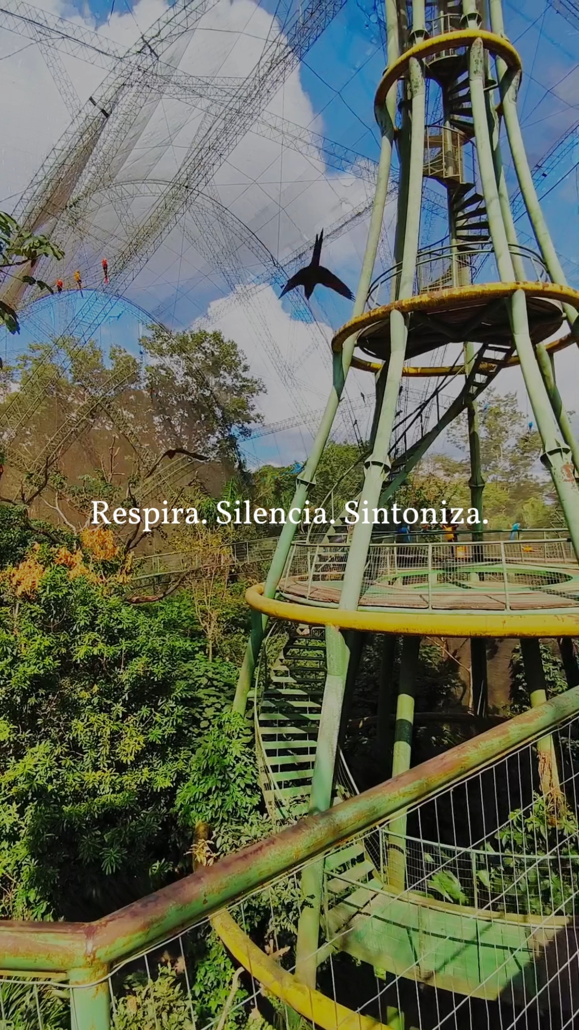 Un rincón de paz ✨ #Guembe #Bolivia #Turismo #SantaCruz #Mariposario #relaxtime #Paisajes #planesconamigos #octubre #reconectar #respira #descanso #aves 