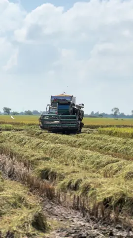 นาปังเริ่มเบาแล้ว เดือนหน้าพร้อมบินแล้วเจอกันนาปี🌾💨#ทีมงานเจ๋งราตรีลพบุรี #ยาคำนำโชค #วรพจน์การช่าง🌾🇹🇭 