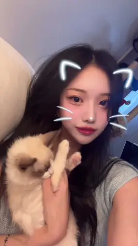 #fyp #fypシ #ねこ #cat #koreangirl #いいね #좋아요 