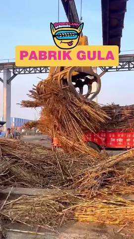 PABRIK PEMBUATAN GULA YANG HARUS KAMU LIHAT #gula #gulapasir #pabrikgula #perfilmin