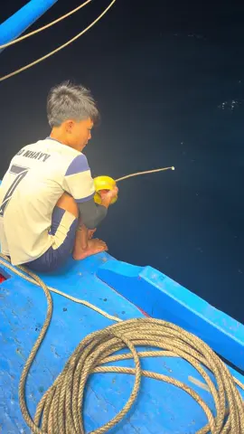 tương lai thì chênh vênh 🙁🦑🦈#quảngbình #dânbien73 #dânbiển #manhchup73 