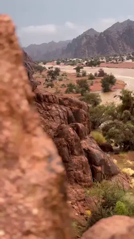 #اكسبلورexplore #امطار_حايل  #حائل 