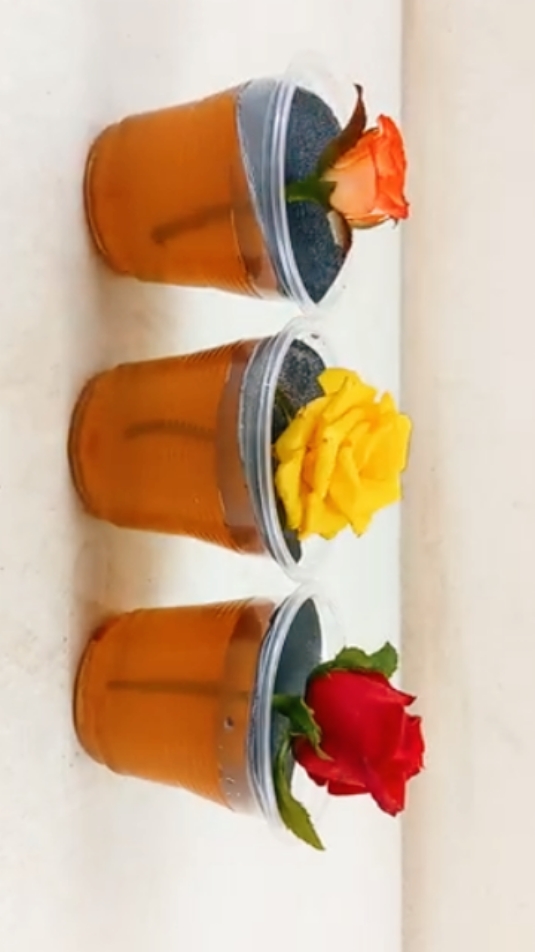 Grow 3 color rose plant at home #roses #plants #gardening #tipsandtricks #fyp #fyfyfyfy #PlantVibes #HappyPlants #redrose #yellow #orange #flowers #flower #flow #gardentok #tiktok #plantvideo #viral #viralvideo 