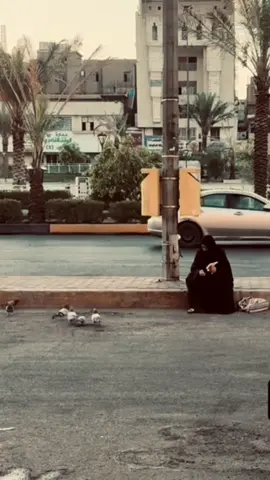 #سلمان#المنكوب #نفسي عالزفراتها #روائع_الفن_العراقي🇮🇶🇮🇶♥️#تصميم #كاب_كات#هاشتاق#العراق#بغداد#طرب #بغداد_بصرة_موصل_الكويت_الخليج_دبي_ #الفن#اكسبلورexplore 