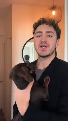 Elle va pas recommencer je pense bien ! Heureusement que je suis fort et que ça ne me fait rien à moi 👍 #humour #chien #apprendre #pourtoi 