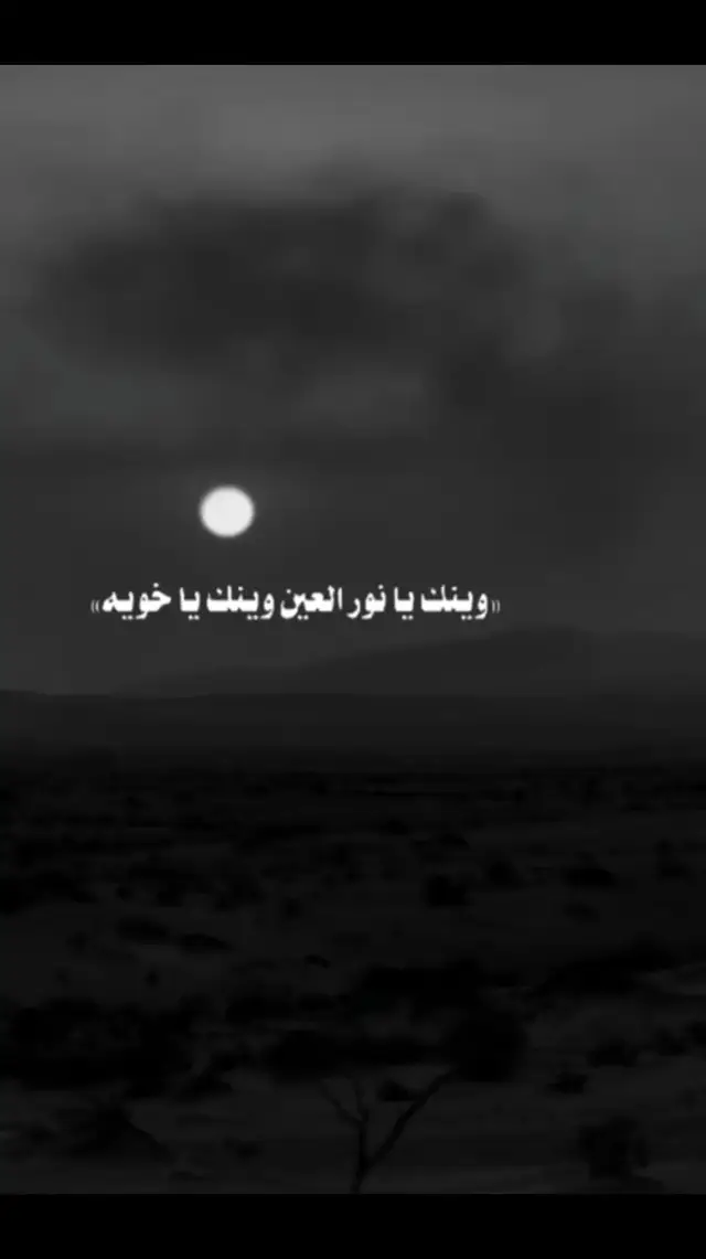 وينك يانور العين وينك ياخويه #حزين #شعر #عراقي #موالات_حزينة_عراقية💔 #شعروقصايد #حزن_غياب_وجع_فراق_دموع_خذلان_صدمة 