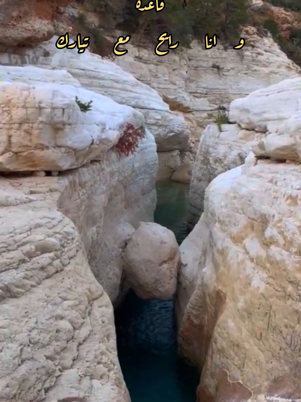 #ليبيا #بنغازي #طرابلس #طبرق #البيضاء #مصراته #الجبل_الغربي_مزده_نسمه_❤️🇱🇾ليبيا_الوطن❤️ #fyp #fuoryou #fuoryoupage #dúo #tiktokindia #viral 