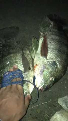 @Anakonde🐍  @Alrmdh  iki dino aku rodok pelit spot wong , ngapunten 🙏🏼🧘🏽‍♂️