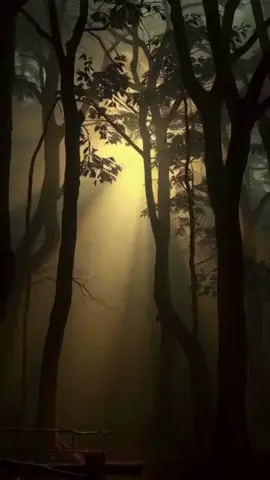 Đây là một câu chuyện mưu lược không dễ bị phát hiện. #conhanchilo #muuluoc #cohockythu #tetuongluugu 