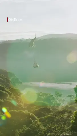 لینکی تلگرام لە بیۆیە #viral #flypシ #longervideos #kurdistan #onefilm1 