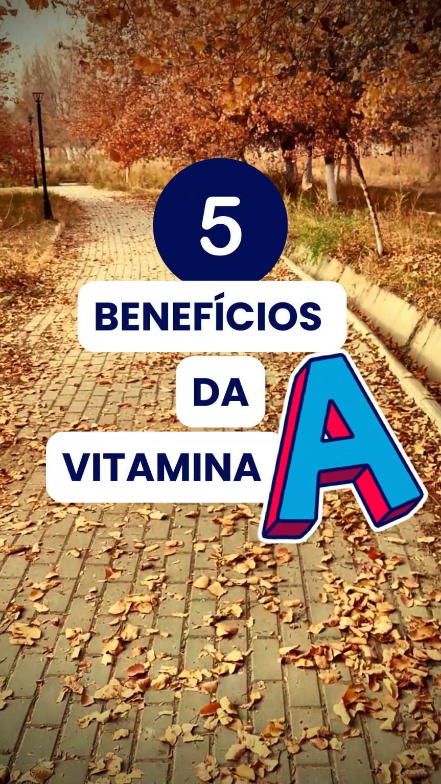 Além de todos esses benefícios, a vitamina A também fortalece a saúde cutânea!  🌱 Quer conhecer mais sobre esse e outros suplementos que podem transformar sua prática clínica? Baixe o Nutrabook! 📲  Lá você encontra tudo sobre suplementação nutracêutica e tratamentos naturais – o parceiro perfeito para a sua rotina! 😉 #nutrologia #suplementos #saude #medicinanatural #nutricaofuncional #suplementação #medicina #medico #nutricionista 
