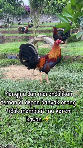 Intinya saling mengormati#viral #tiktokviral #sorotan 