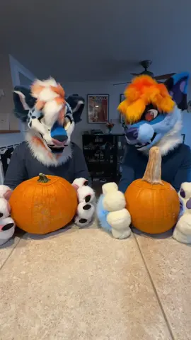Misunderstandings happen! #furry #cosplay #humor #furryfandom #youtubeshorts #fursuit https://youtube.com/shorts/pPJbTlYnv2s?si=Gv2gcz2xLykJzM0Y