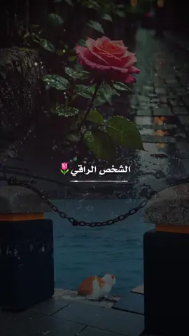 الرُقي ... #ابراهيم_شيخاني #ابراهيم_شيخاني #عبارات 