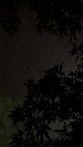 #اكسبلور #تصميمي #تصويري #مطر #موسيقى #شعر #قصيد #القاء_الشعر #مشاهدات #متابعه #مشاركة #تفاعل #فولو #ترند #لايك #طلعوه #حب #محضور #مكة #جدة #الطايف #اجواء#explore #tiktok #Love #like #fyp 