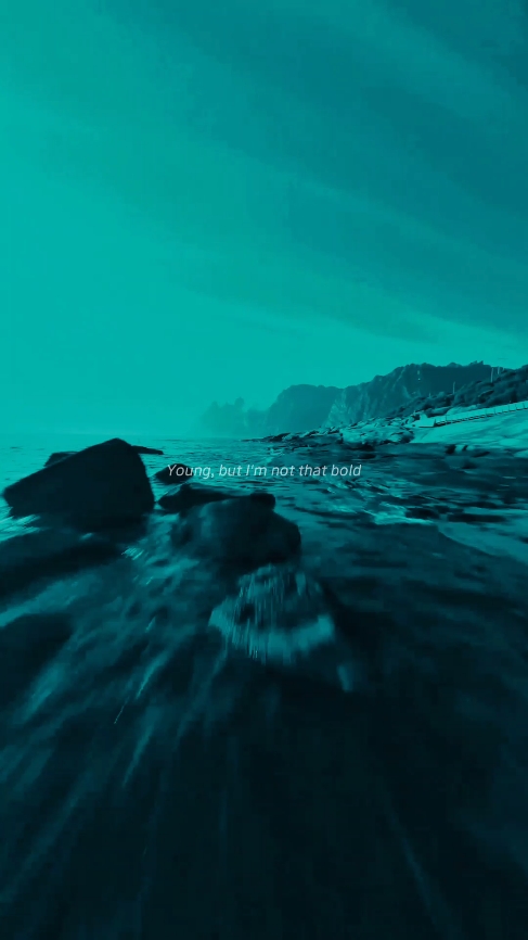 #onerepublic #countingstars #lyrics 