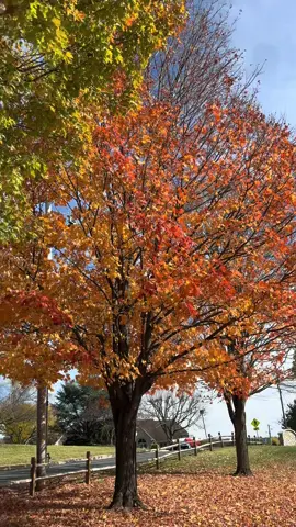 #octobervibes #fallvibes #fallaesthetic #pamomtok  