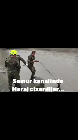 Quba Samur abweron kanali#qubaliyiq✊❤ 